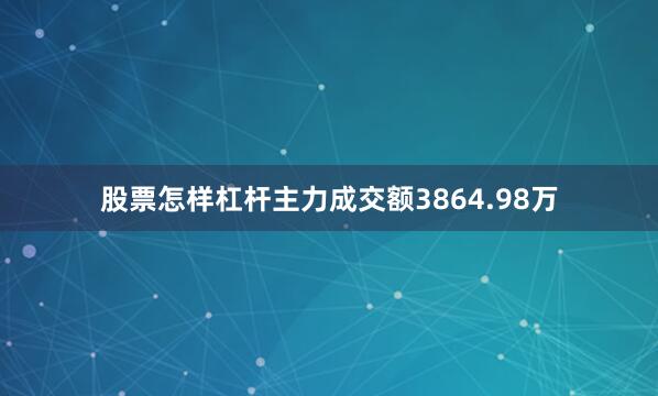 股票怎样杠杆主力成交额3864.98万