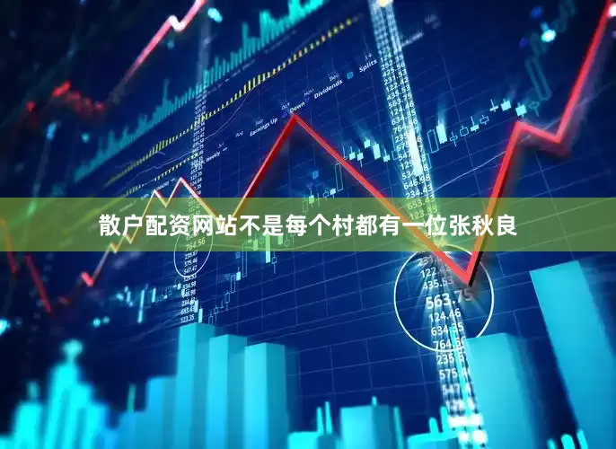 散户配资网站不是每个村都有一位张秋良