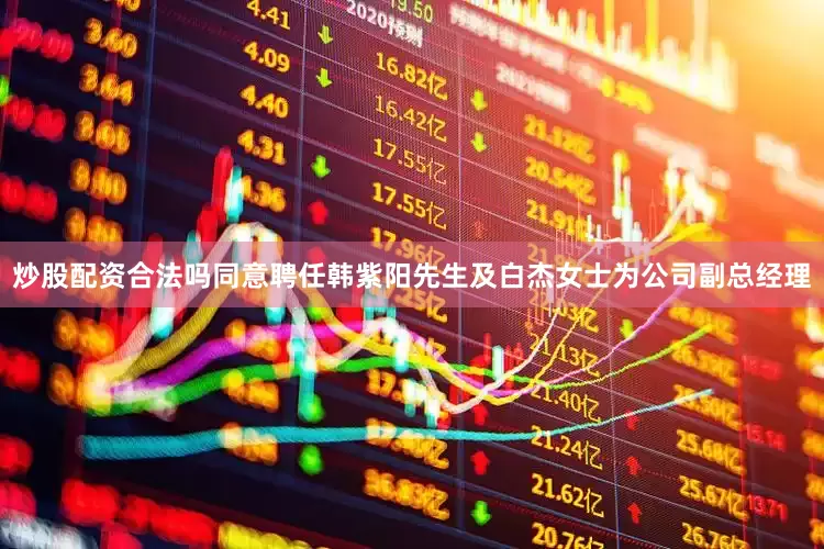 炒股配资合法吗同意聘任韩紫阳先生及白杰女士为公司副总经理