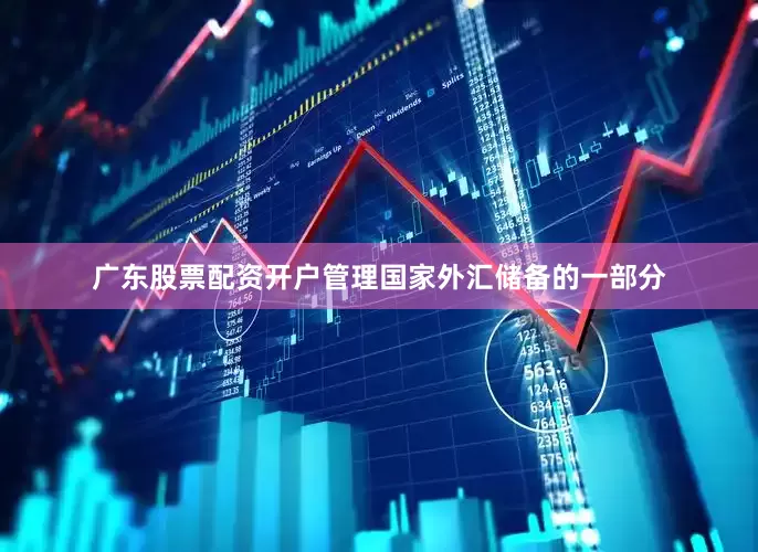 广东股票配资开户管理国家外汇储备的一部分